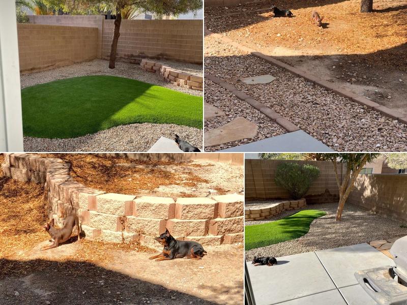 Sun Scape Services Inc.