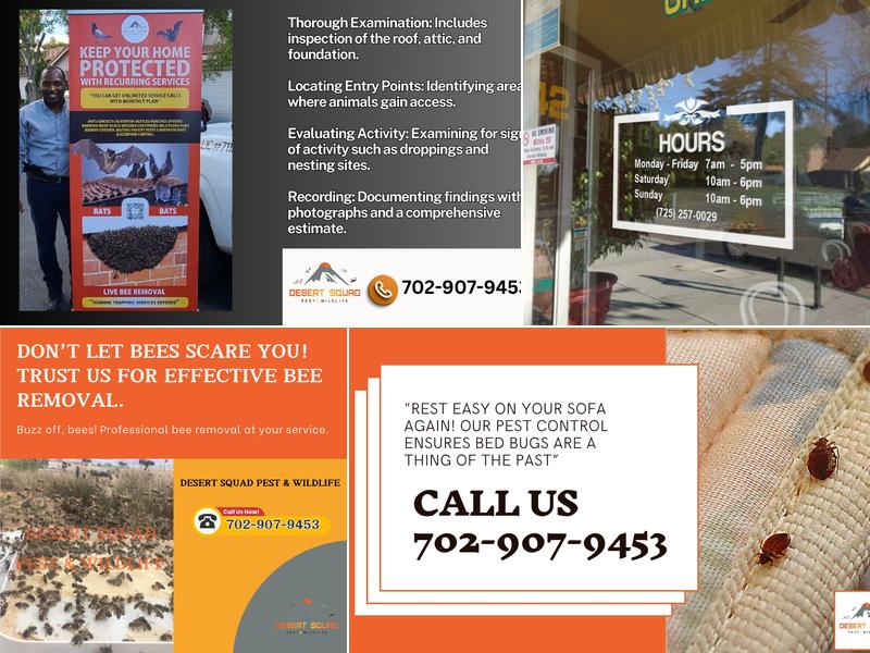 Desert Pest Control