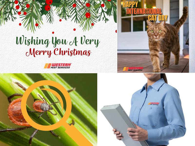 Western Pest Services