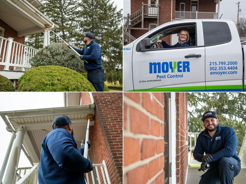 Moyer Pest Control