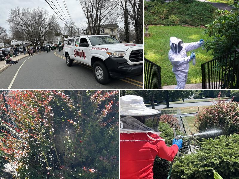 Simply The Best Pest Control