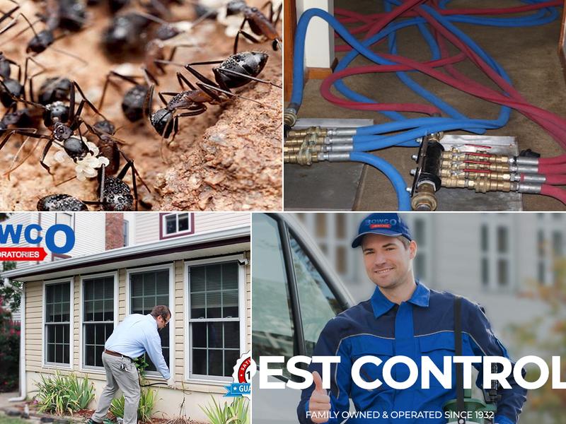 Bowco Labs Pest Control Cranford