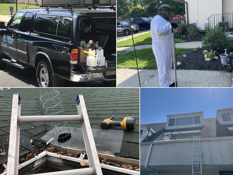 Advanced Animal & Pest Control