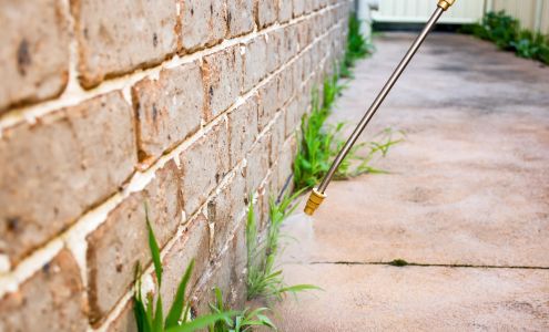 Allison Pest Control North Bergen New Jersey 