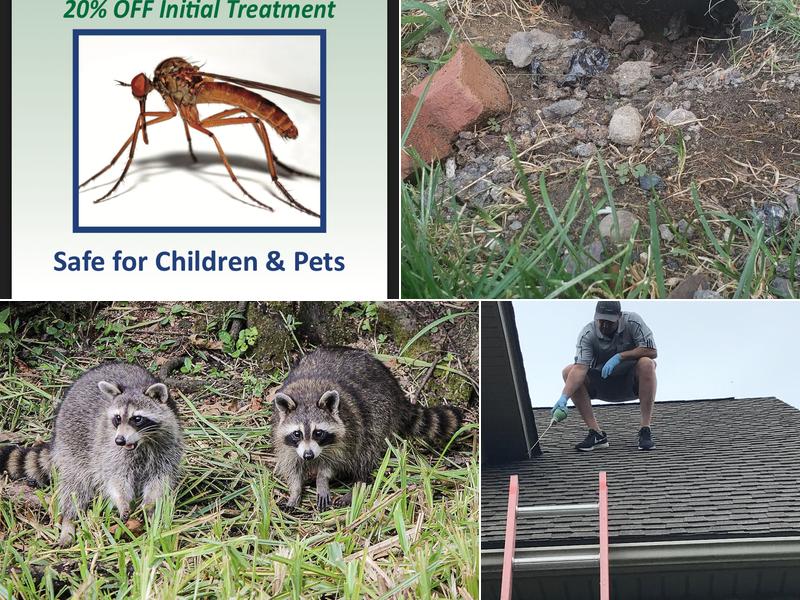 Enviro-Tech Pest Services