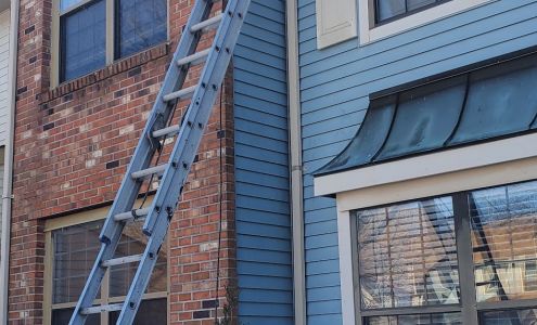 Priority1 Termite & Pest Control