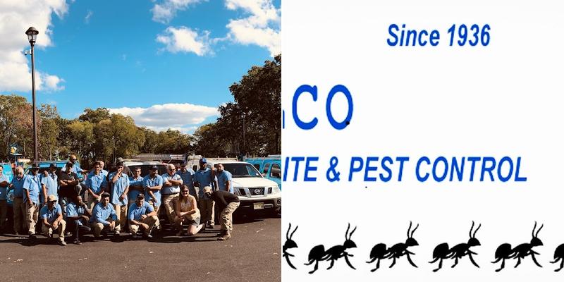 Ace Walco Termite & Pest Control