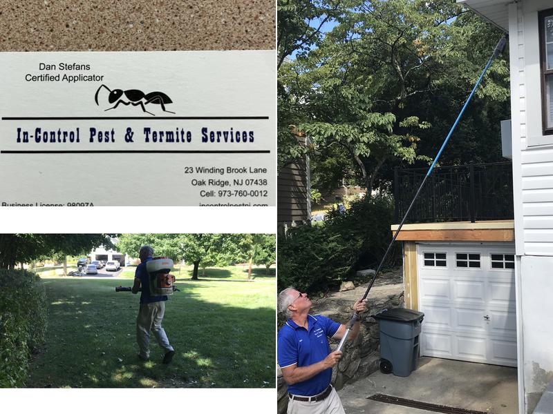 In-Control Pest & Termite Services