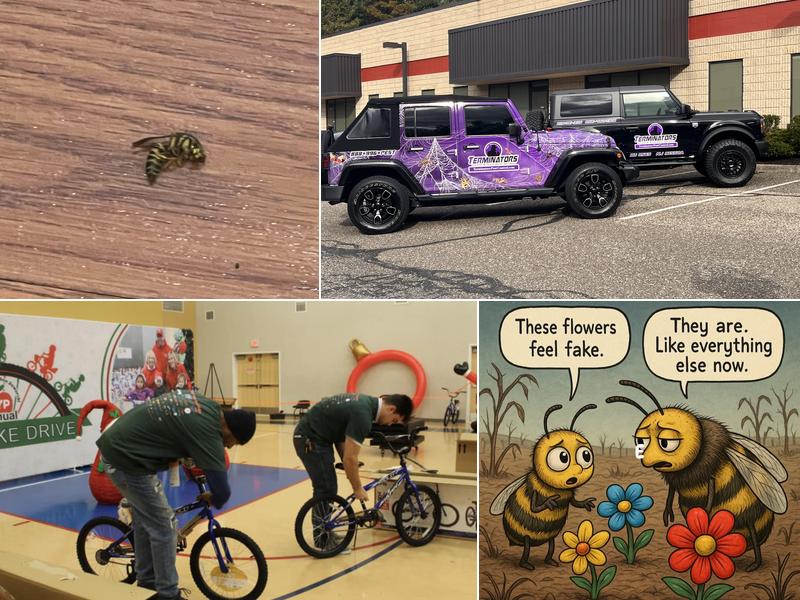 Terminators Pest Control LLC