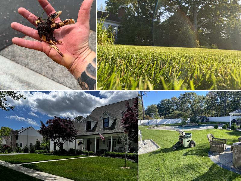 Ace of Spades Lawn and Property Services