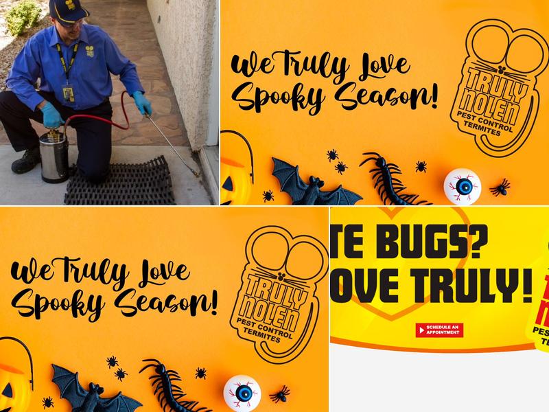 Truly Nolen Pest & Termite Control - Nutley