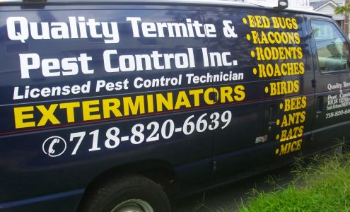 Termite Control