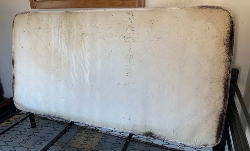 Ace Bed Bug Exterminating | Queens