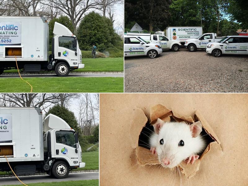 Scientific Exterminating Services