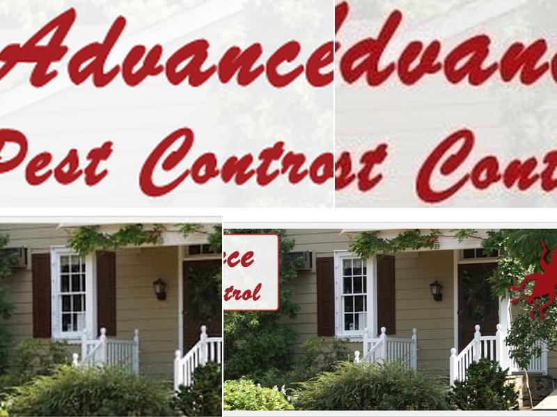 Advance Pest Control