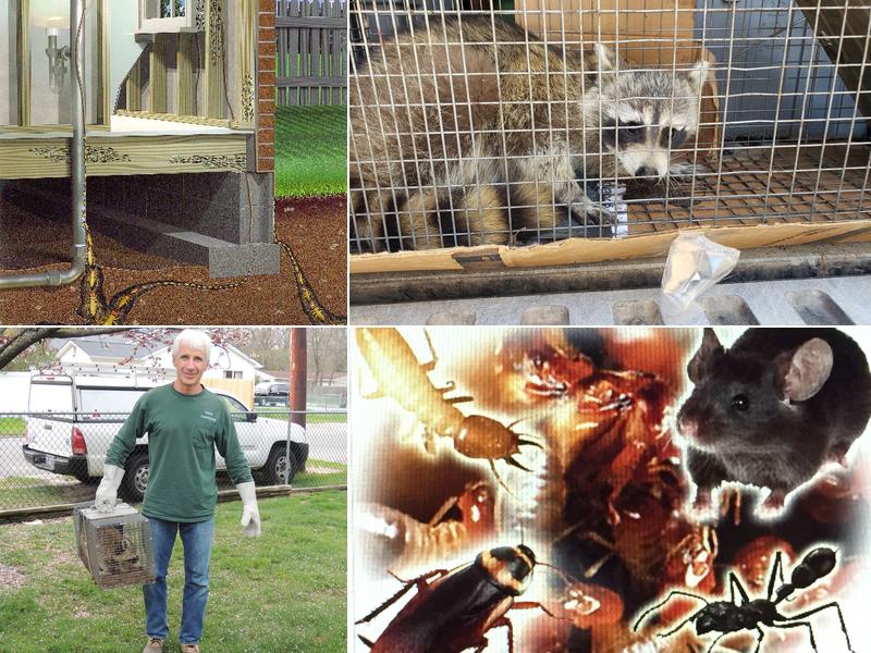 General Exterminating