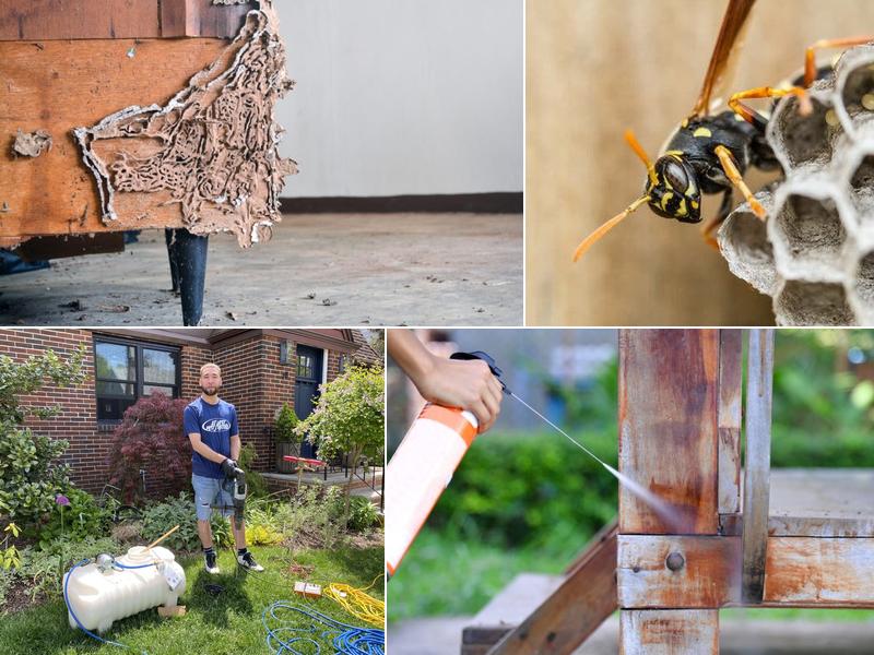 At Last Pest Control