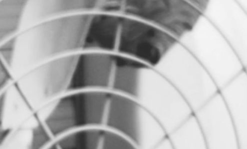 Bugs & More Pest Control 2558 Hamburg Turnpike Suite 210, Lackawanna New York 14218