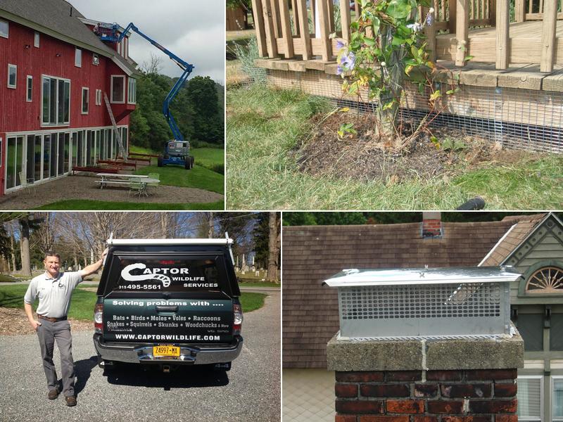 Captor Wildlife Services, Inc.