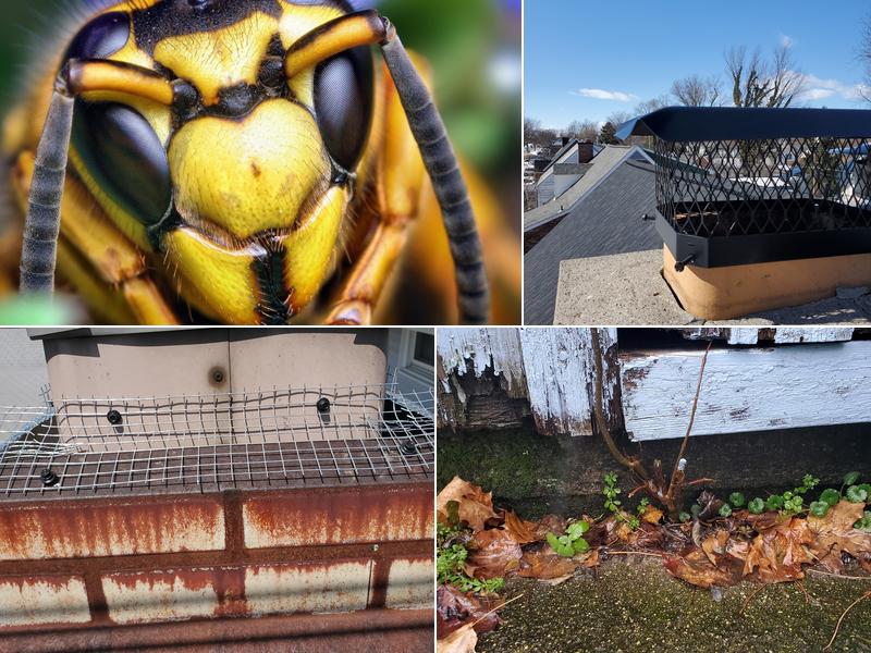 Pathfinder Pest & Wildlife Services