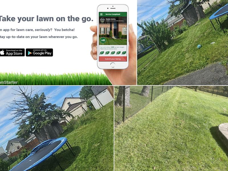 LawnStarter Lawn Care Service