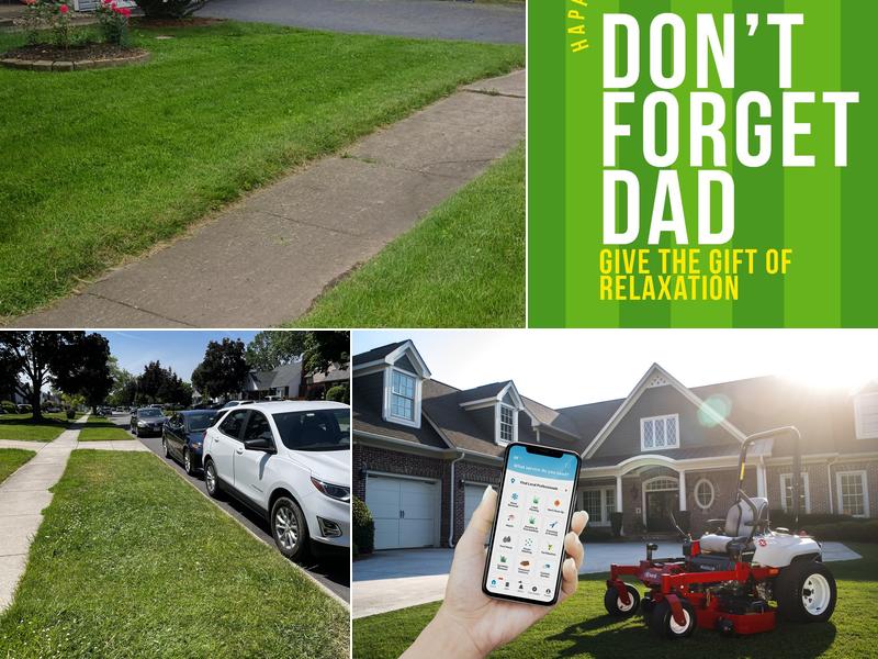 ️ Plowz & Mowz - Snow Removal and Lawn Care Service