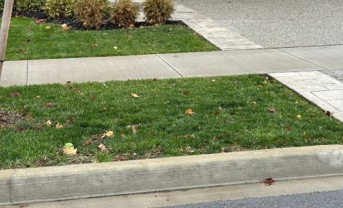 TruGreen Lawn Care of Niagara Canada