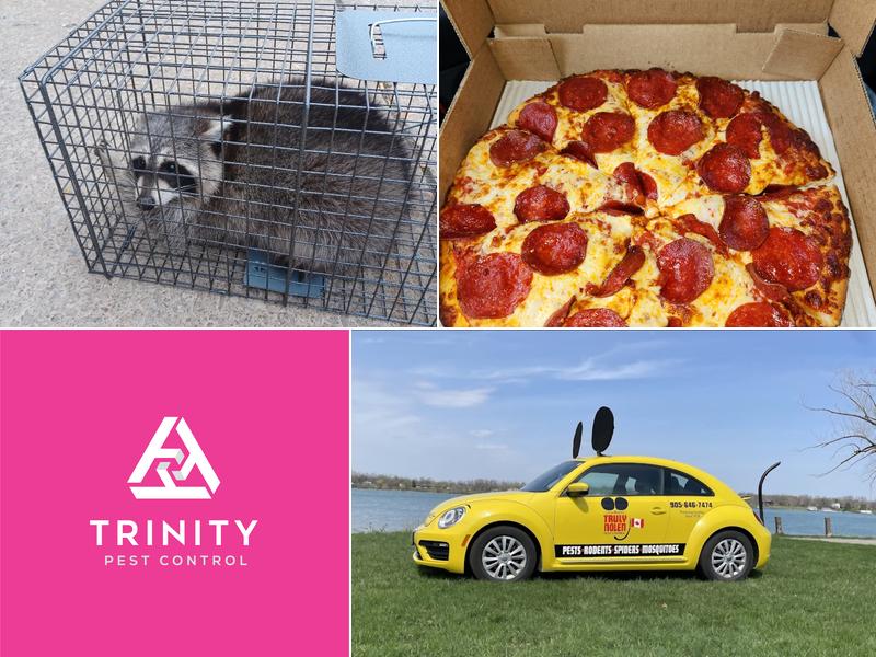 Trinity Pest Control Niagara