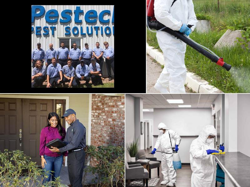 Pestech Pest Solutions
