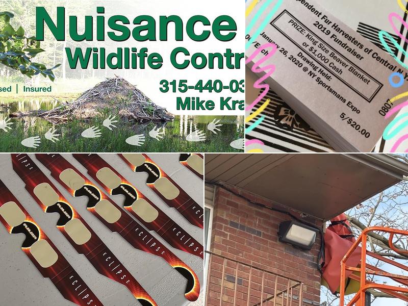 KRAUS NUISANCE WILDLIFE CONTROL