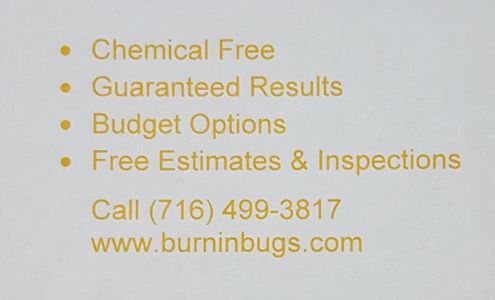 Burnin' Bugs 5616 Stockton-Hartfield Rd, Dewittville New York 14728