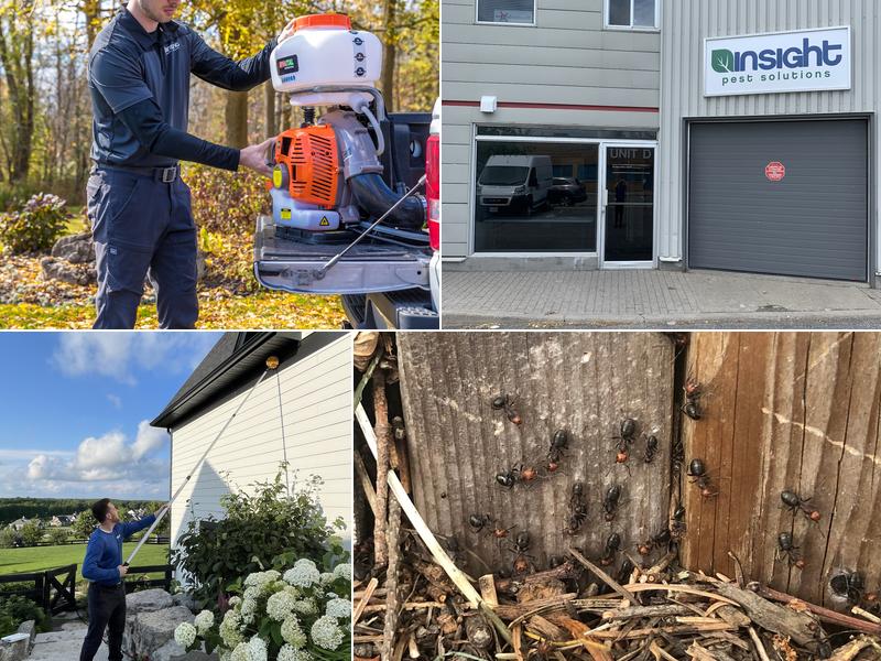Insight Pest Solutions Ottawa