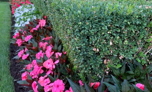 Eden Landscaping and Snow Removal