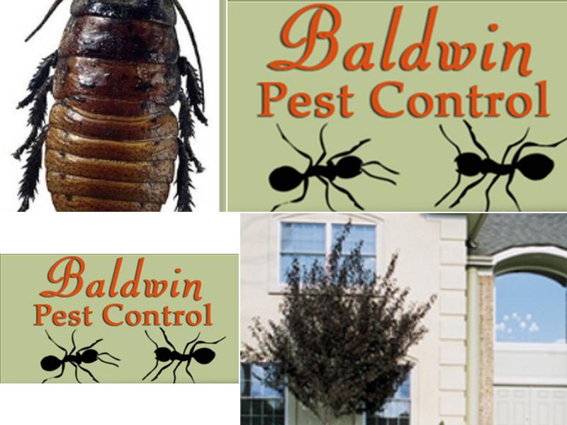 Baldwin Pest Control