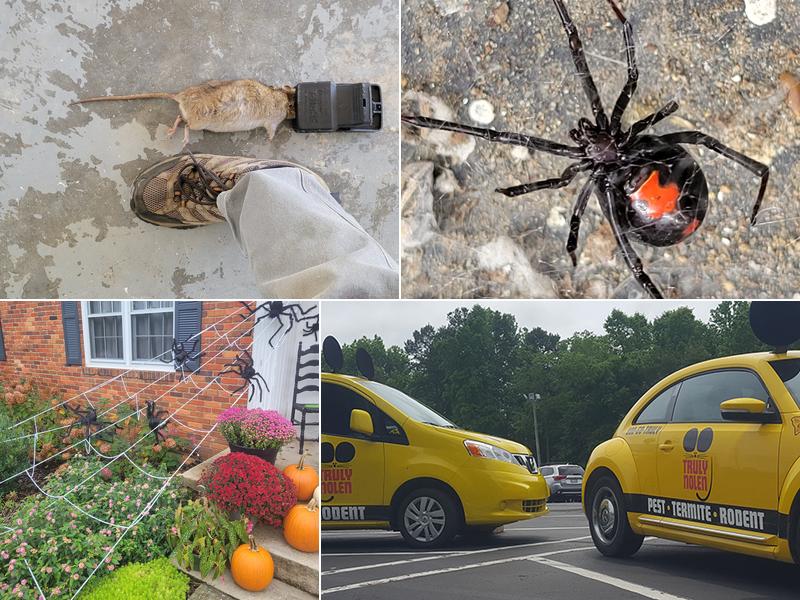 Truly Nolen Pest & Termite Control - Winston Salem