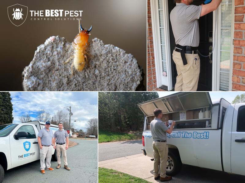 The Best Pest Control Solutions