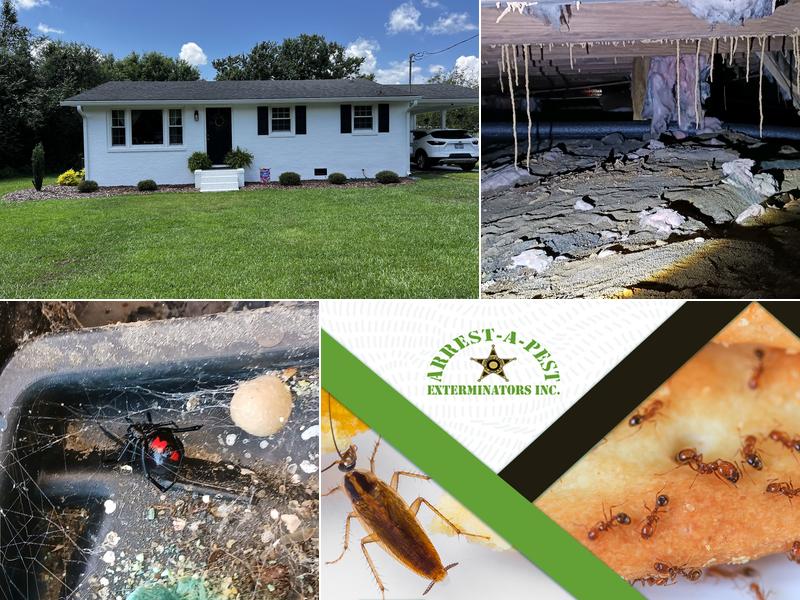 Arrest-A-Pest Exterminators, Inc.