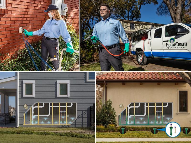 HomeTeam Pest Defense