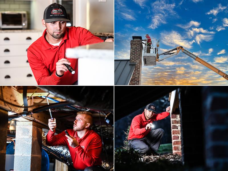 City Wide Exterminating