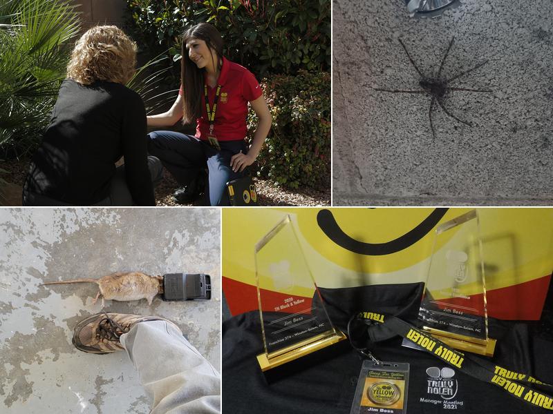 Truly Nolen Pest & Termite Control