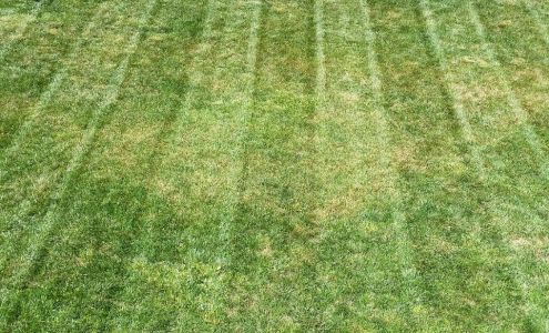 Quality First Lawn Care