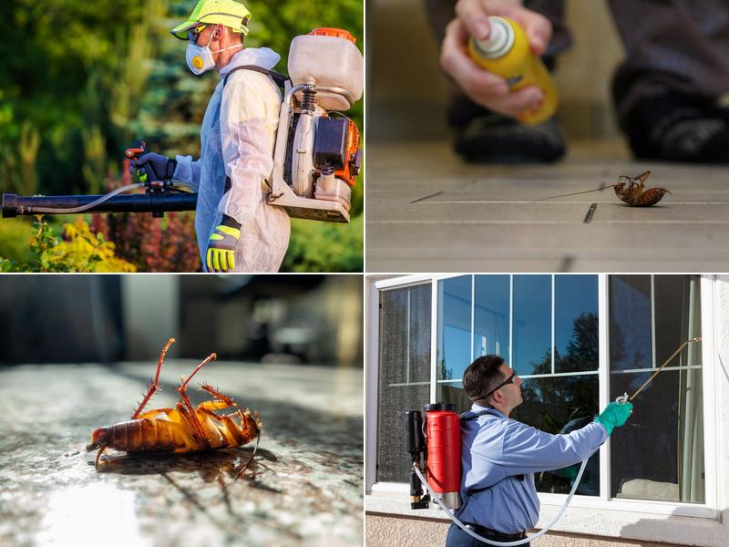 Masonic Temple Pest Control