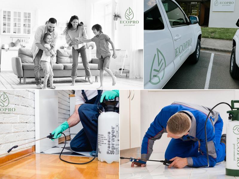 EcoPro Pest Control
