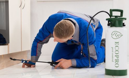EcoPro Pest Control