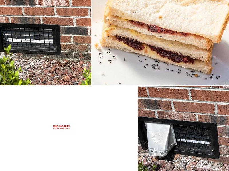 Bug-N-A-Rug Exterminators