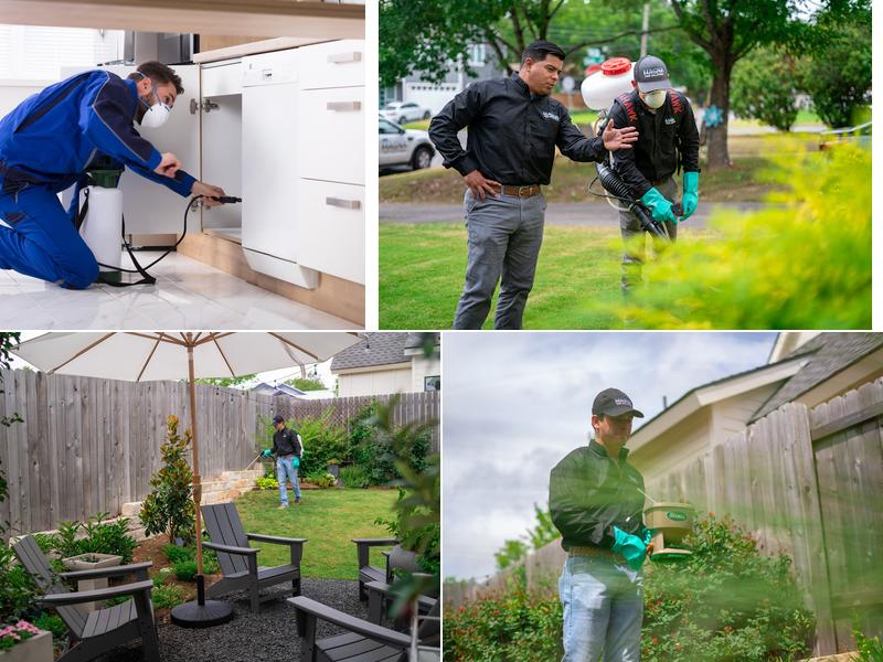 Magna Pest Solutions