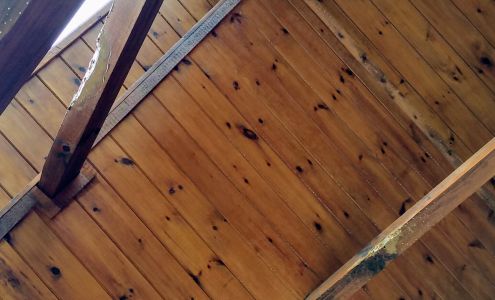 Kirkland's Pest Control