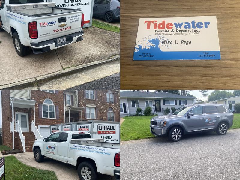 Tidewater Termite & Repair Inc