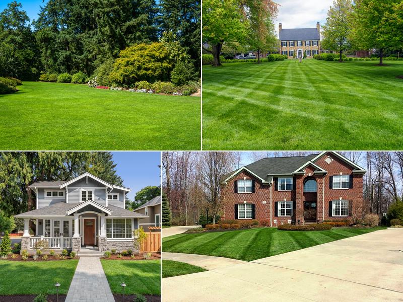 Fresh Cut Lawn Service