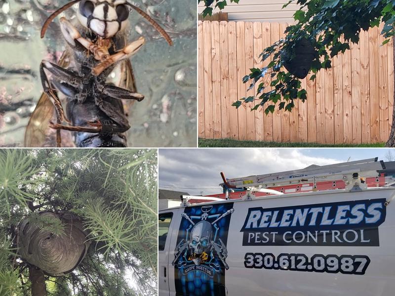 Relentless Pest Control